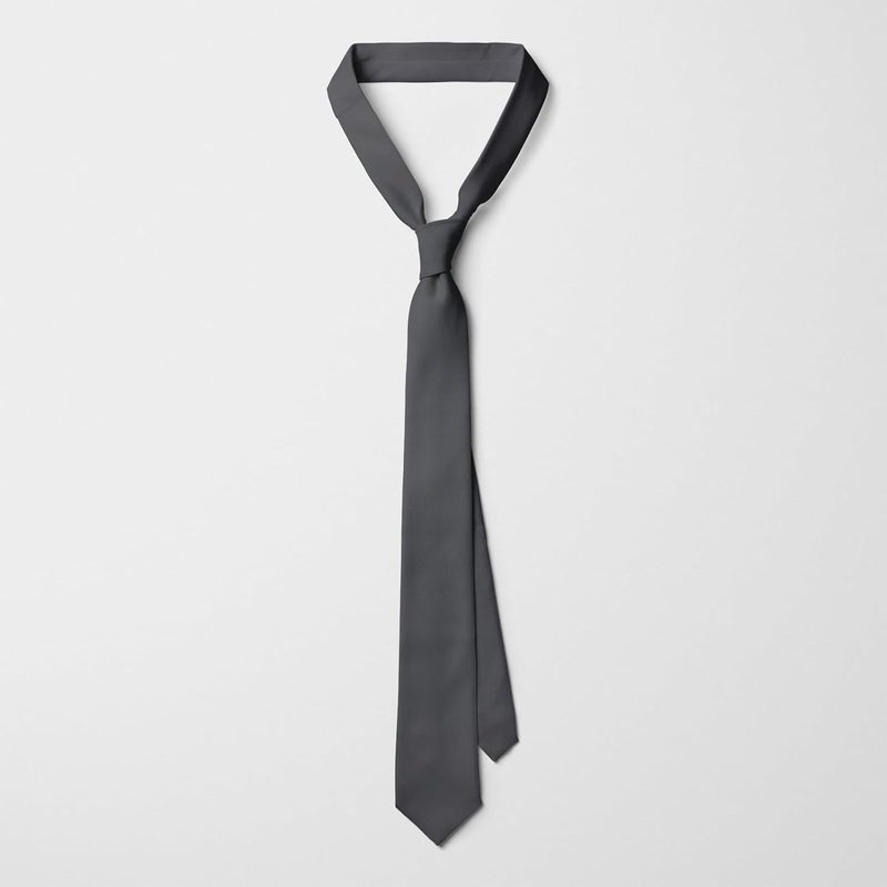 SEVENHEAD Store Solid Color Ties 3.15 Inch (8CM) for Men Pure Color Satin Neckties Formal Mens Ties Wedding Businesss - Image 4